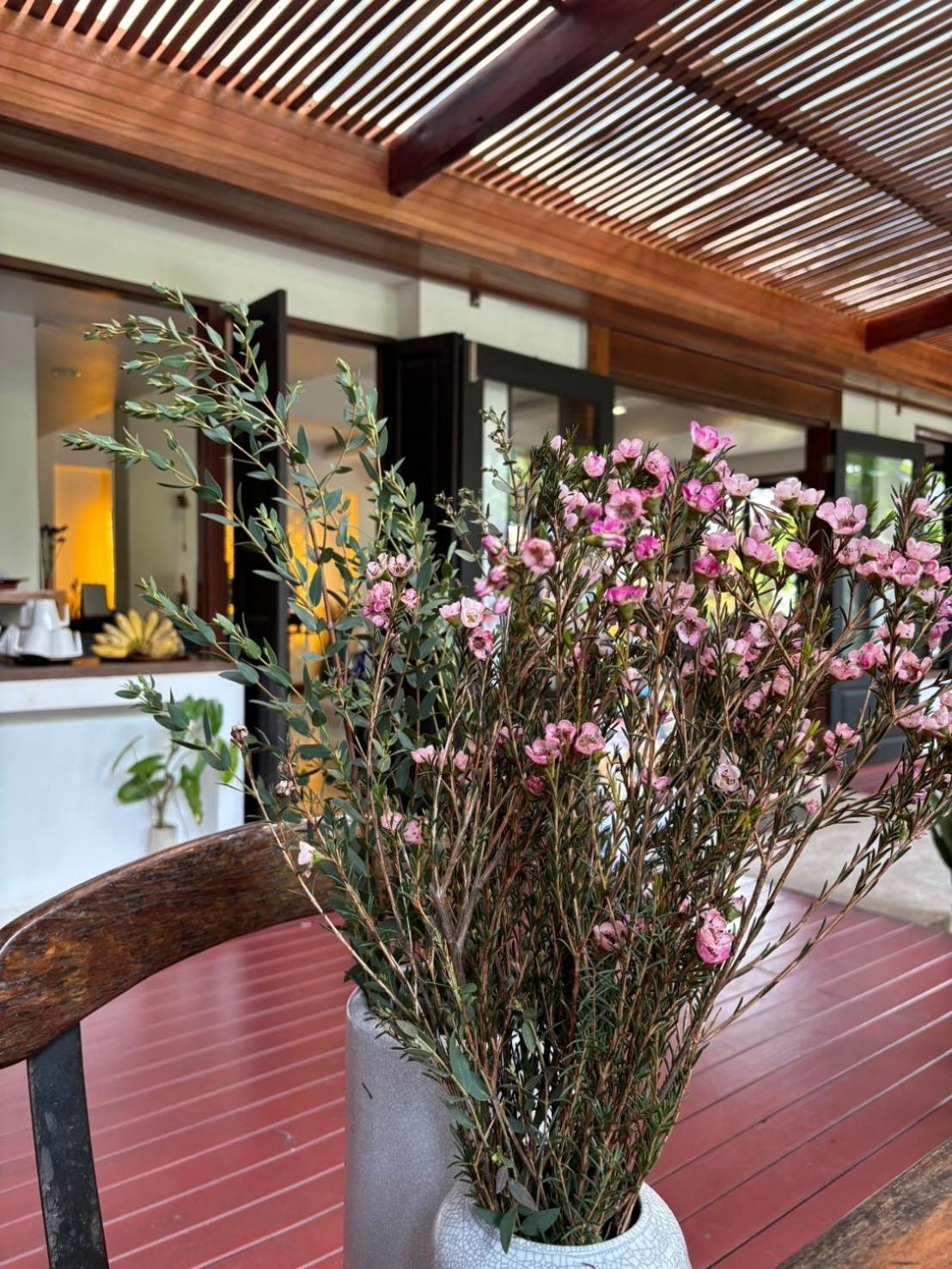 צ'יאנג מאי Yindee Stylish Guesthouse מראה חיצוני תמונה